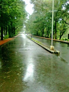 NITC Rajpath